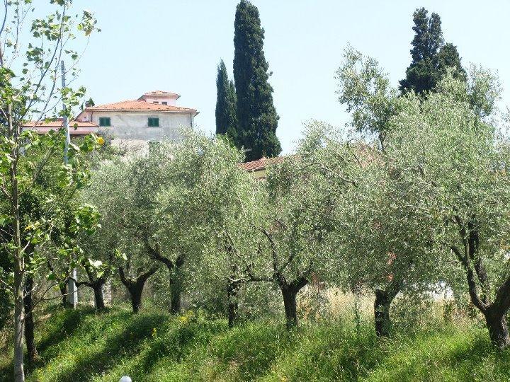 Casali Romei Sarzana Exterior foto
